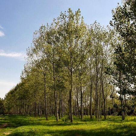 Masseria Giosole คาปัว ภายนอก รูปภาพ