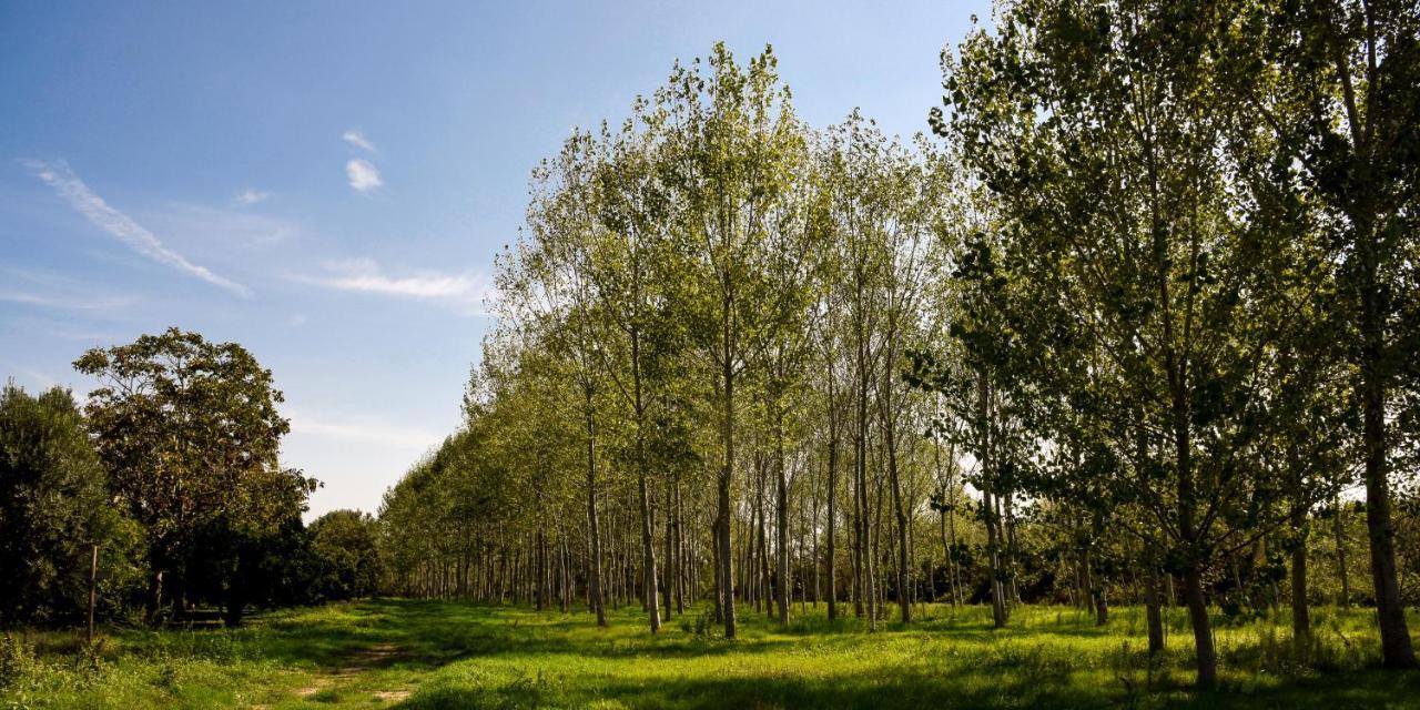 Masseria Giosole คาปัว ภายนอก รูปภาพ
